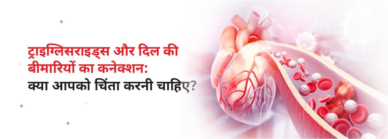 ट्राइग्लिसराइड्स और दिल की बीमारियों का कनेक्शन: क्या आपको चिंता करनी चाहिए?