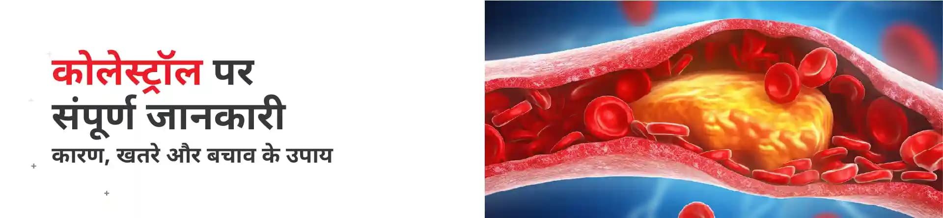 कोलेस्ट्रॉल पर संपूर्ण जानकारी-  कारण, खतरे और बचाव के उपाय