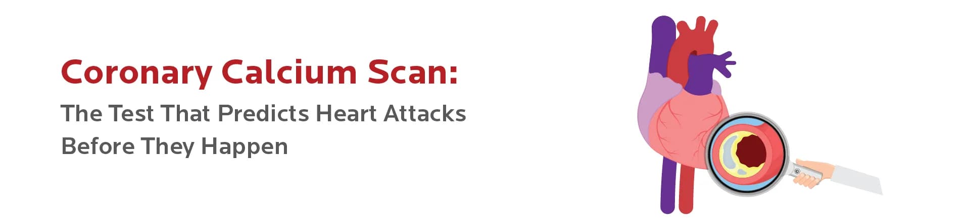 Coronary Calcium Scan: The Test That Predicts Heart Attacks Before They Happen