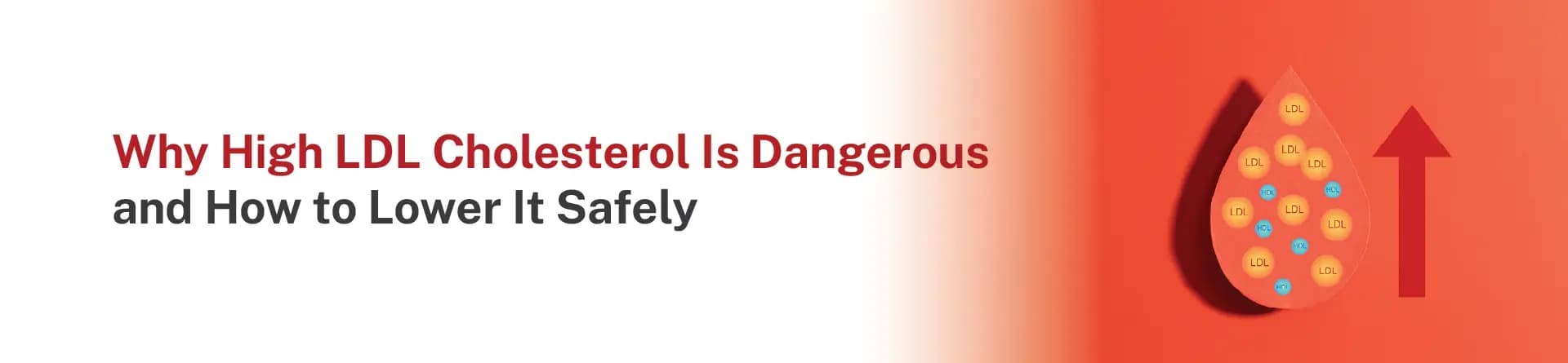 Why High LDL Cholesterol Is Dangerous- and How to Lower It Safely