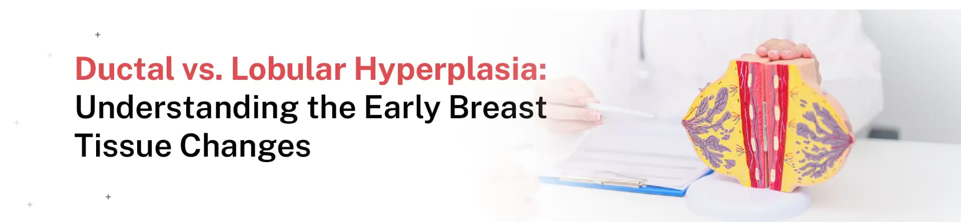 Ductal vs. Lobular Hyperplasia: Understanding the Early Breast Tissue Changes
