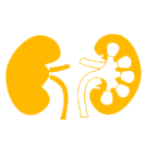 A V Fistula
