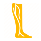 Varicose Veins