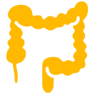 Appendix Removal