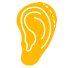 Ear Surgery