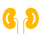Nephrology