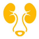 Urology