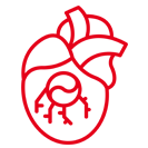 Heart Valve surgery
