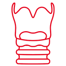 Laryngeal