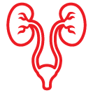 Urology