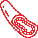 Dyslipidaemia