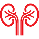 Nephrology