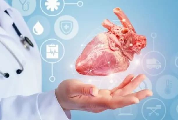 What is CARDIOLOGY?