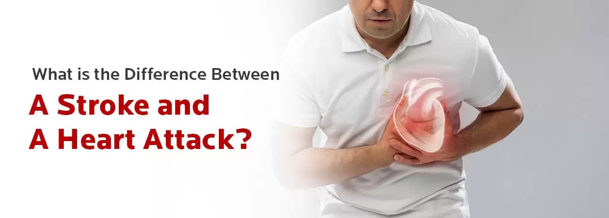 What is the difference between a stroke and a heart attack?