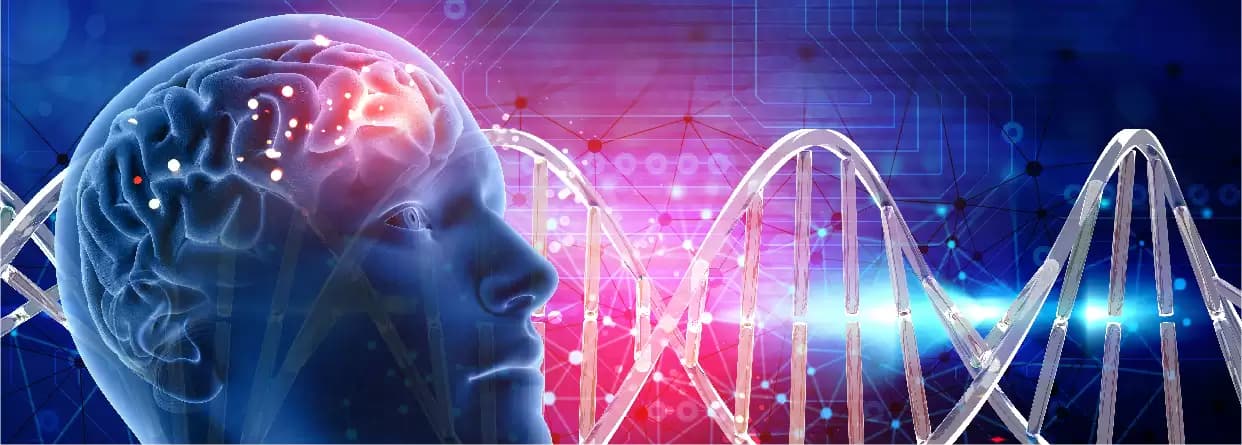 What is Epilepsy, its symptoms and treatment