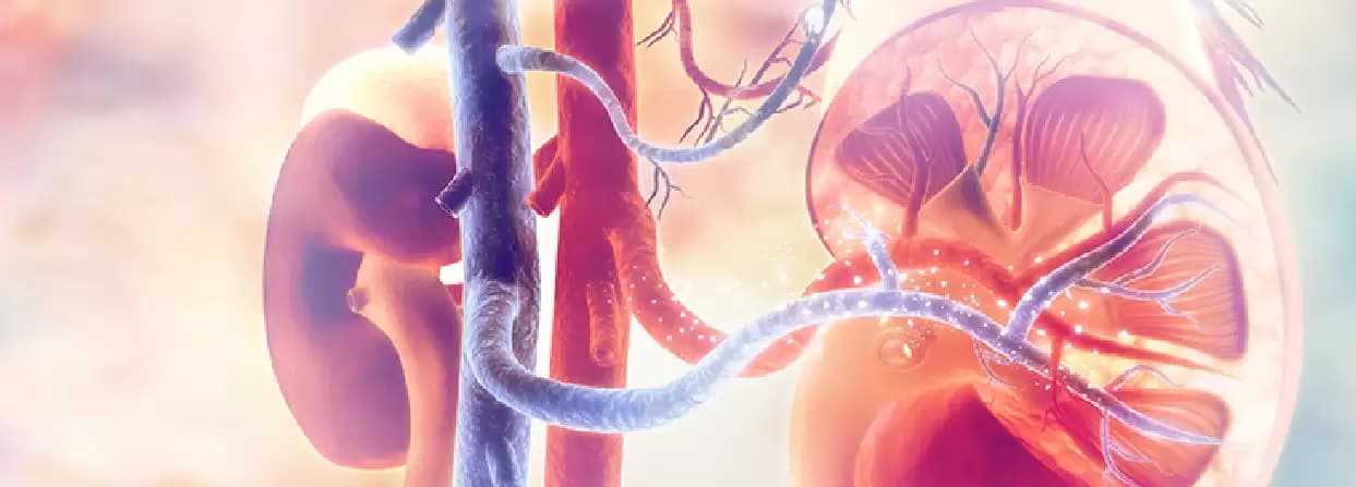 Renal Parenchymal Disease: Is It Dangerous