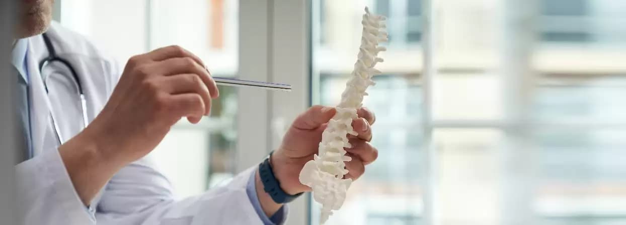 Potential Causes and Treatment of Spinal Degenerative Disease