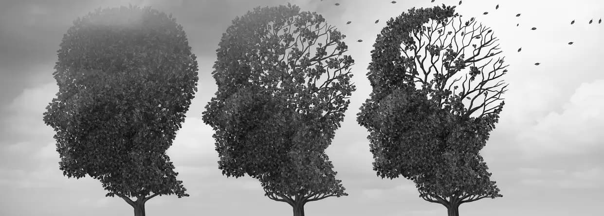 Alzheimers disease symptoms and causes