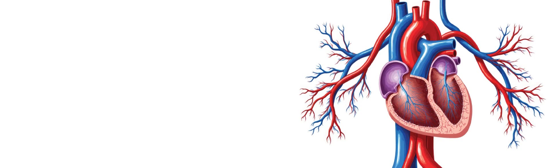 Arterial Switch Operation