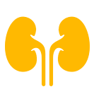 Paediatric Nephrology