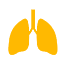 Bronchiectasis