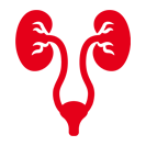 Uro-gynaecology