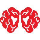 Human Papillomavirus